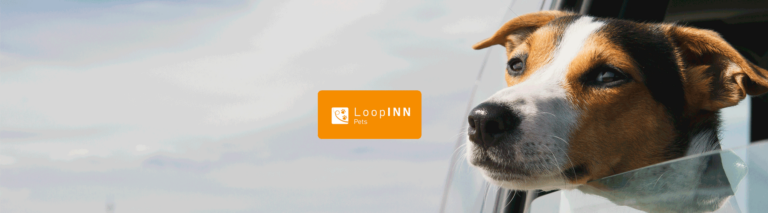 Admisión de mascotas en The Loop Inn